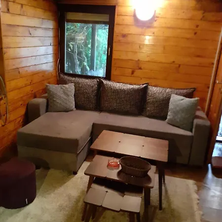 Vikendica Brvnara Maljkovic Drina *